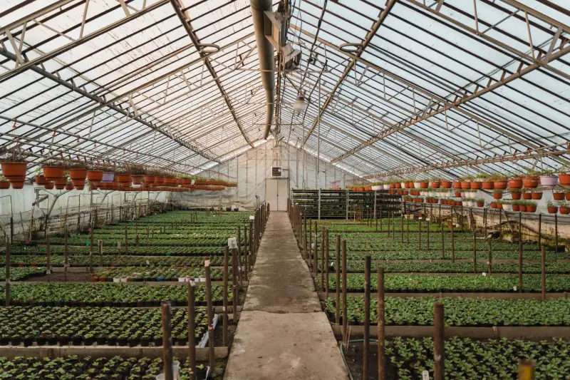 工业物联网传感器选型指南：温度振动数据采集技术要点全解析