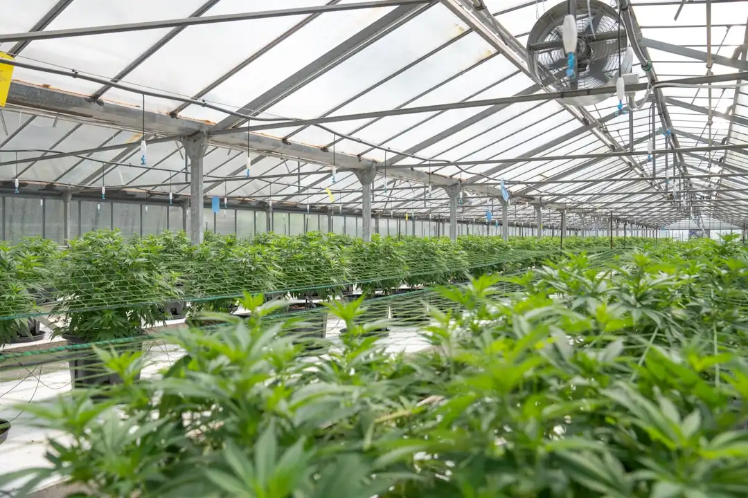 工业物联网传感器选型指南：振动与温度监测的精度权衡
