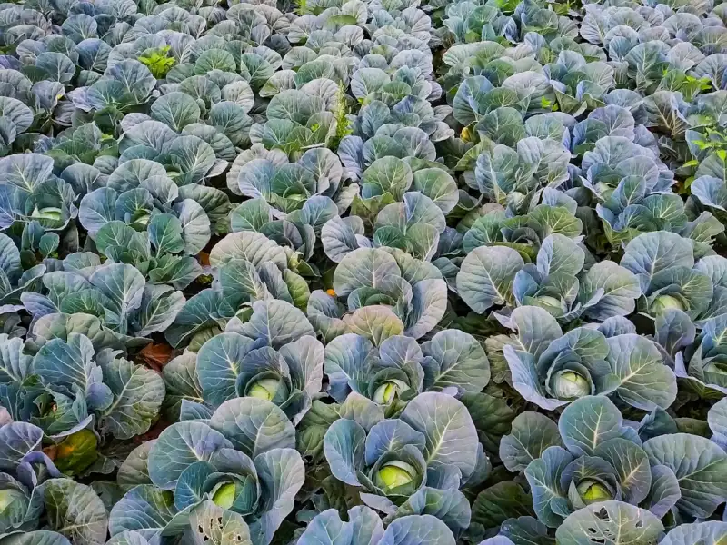 工业物联网传感器部署方案：从设备选型到现场实施全解析