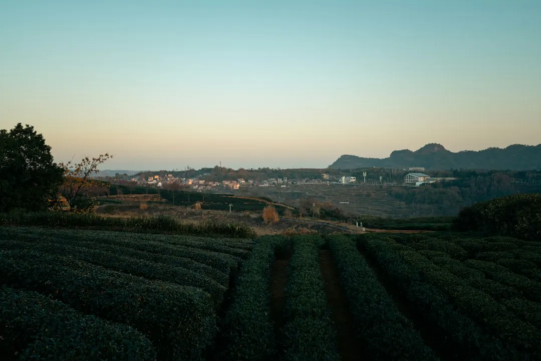 工业物联网传感器选型指南：温度振动数据采集技术要点全解析